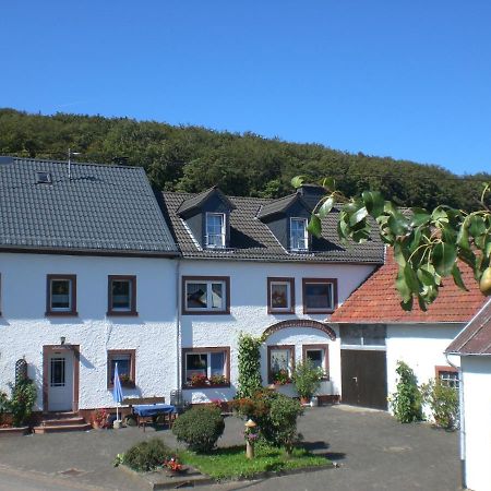 Ferienhof An Der Lay Kerpen  Bagian luar foto