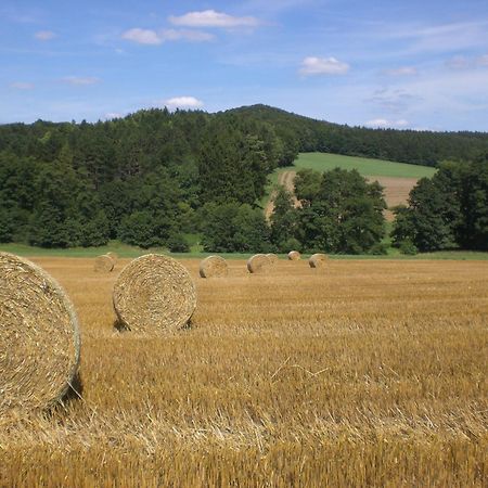 Ferienhof An Der Lay Kerpen  Bagian luar foto