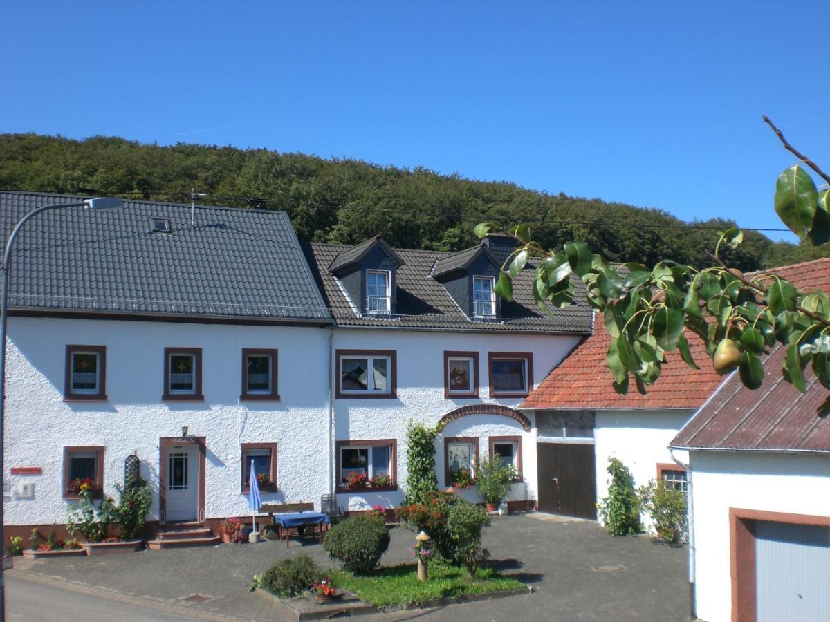 Ferienhof An Der Lay Kerpen  Bagian luar foto