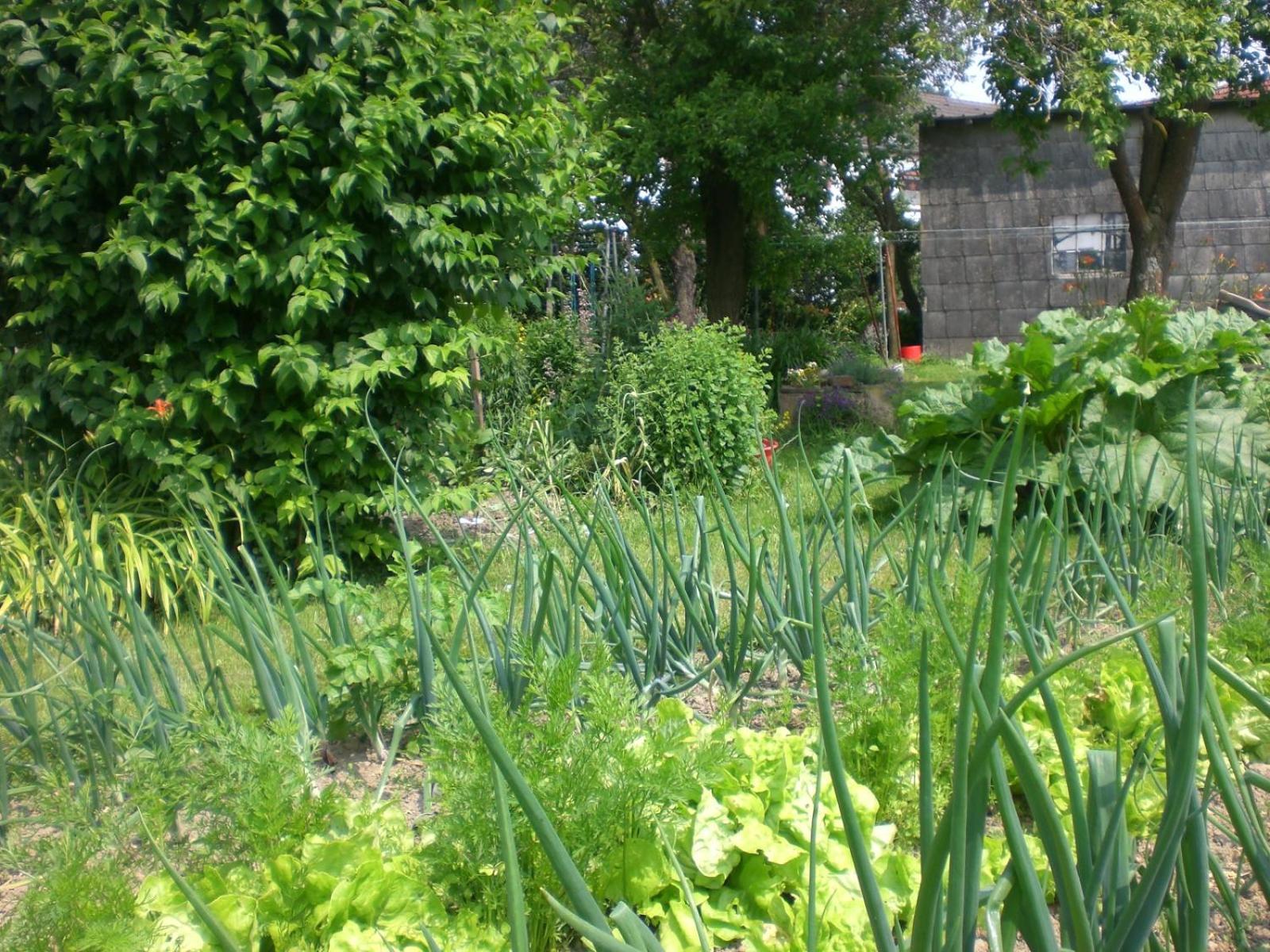 Ferienhof An Der Lay Kerpen  Bagian luar foto