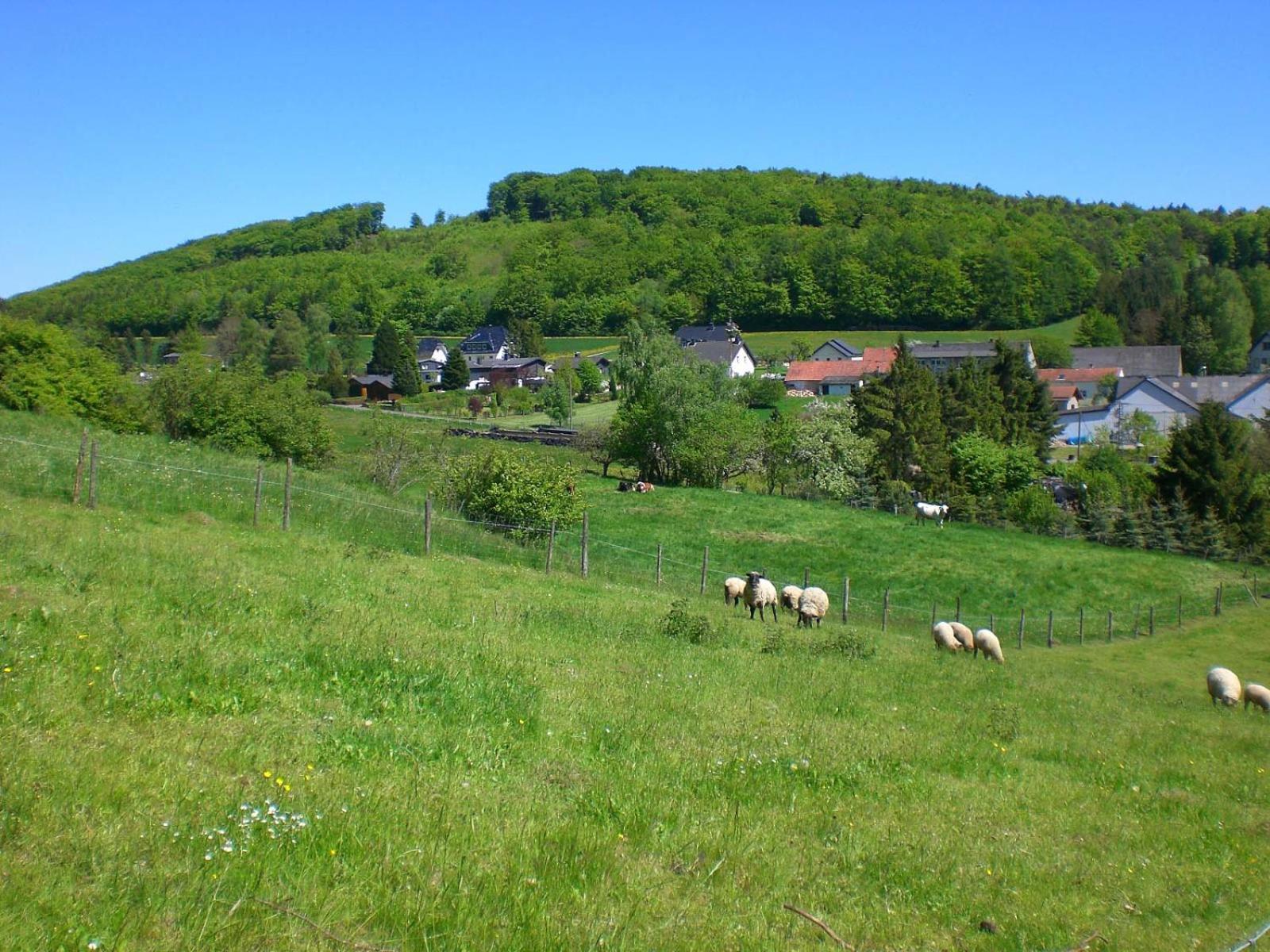 Ferienhof An Der Lay Kerpen  Bagian luar foto