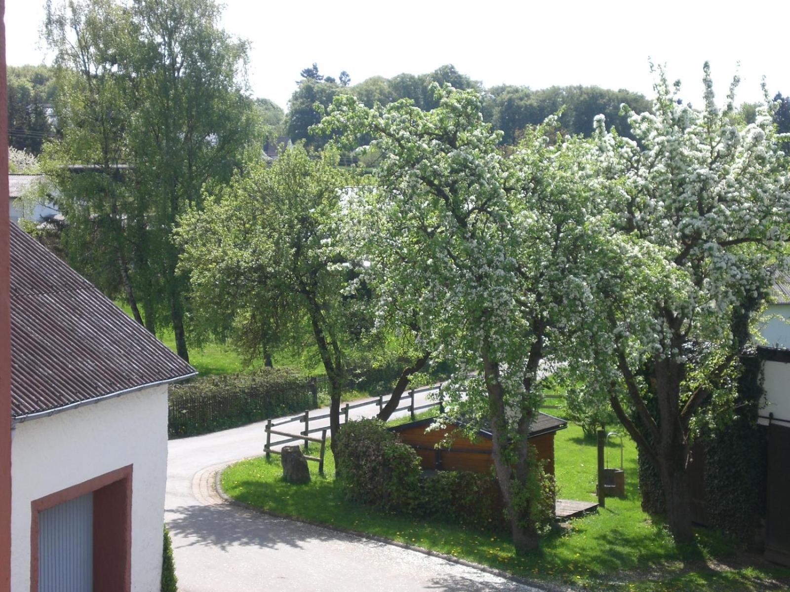 Ferienhof An Der Lay Kerpen  Bagian luar foto
