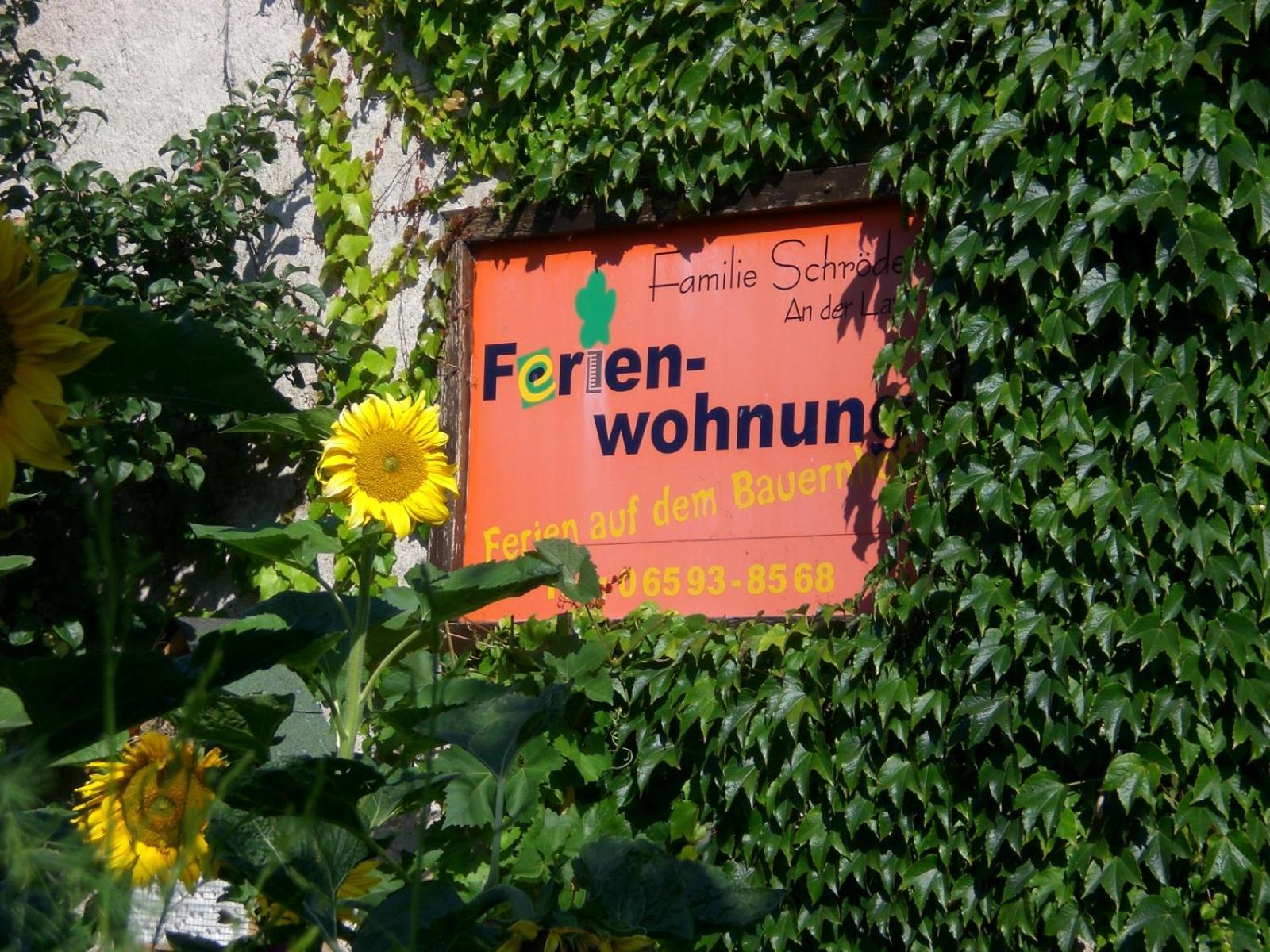 Ferienhof An Der Lay Kerpen  Bagian luar foto