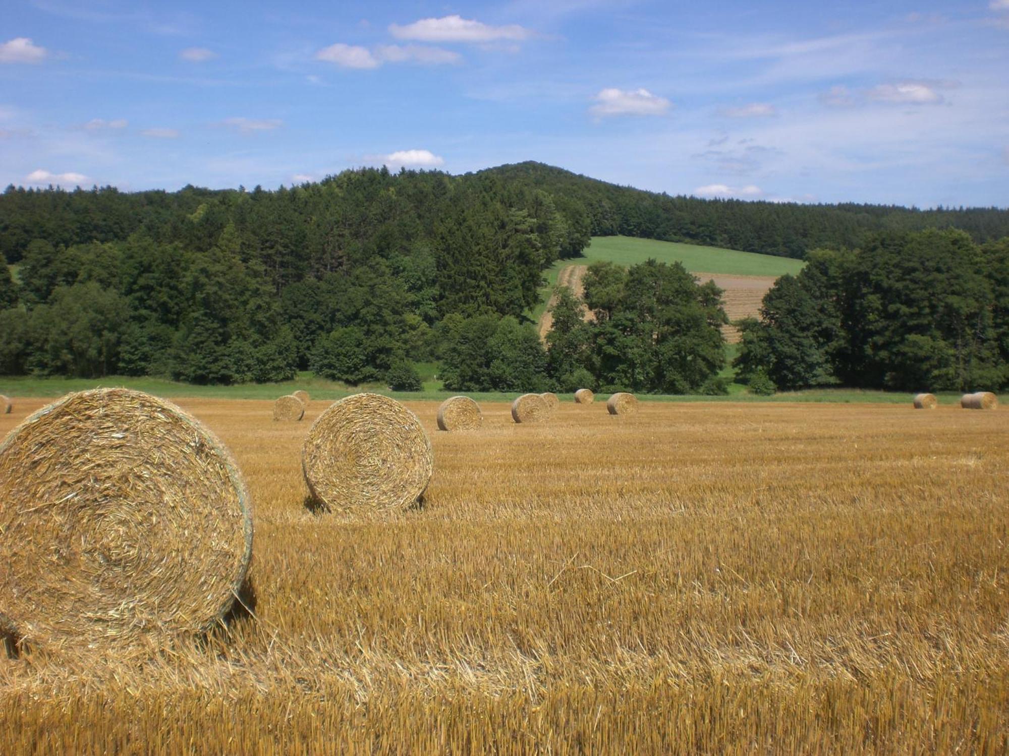 Ferienhof An Der Lay Kerpen  Bagian luar foto