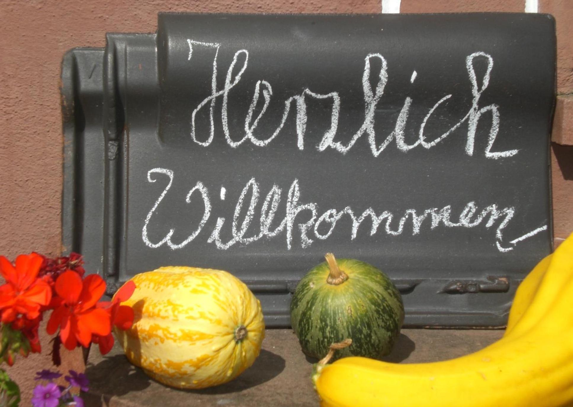 Ferienhof An Der Lay Kerpen  Bagian luar foto