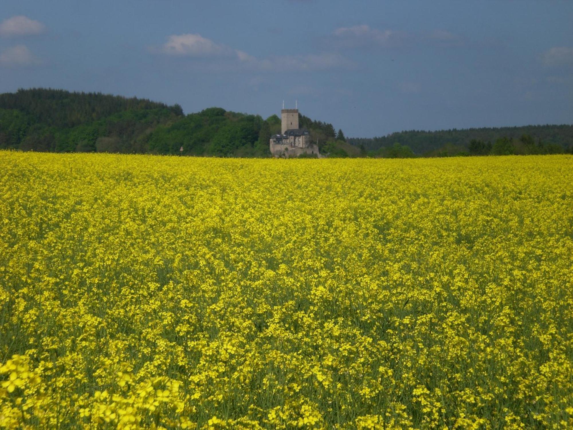 Ferienhof An Der Lay Kerpen  Bagian luar foto