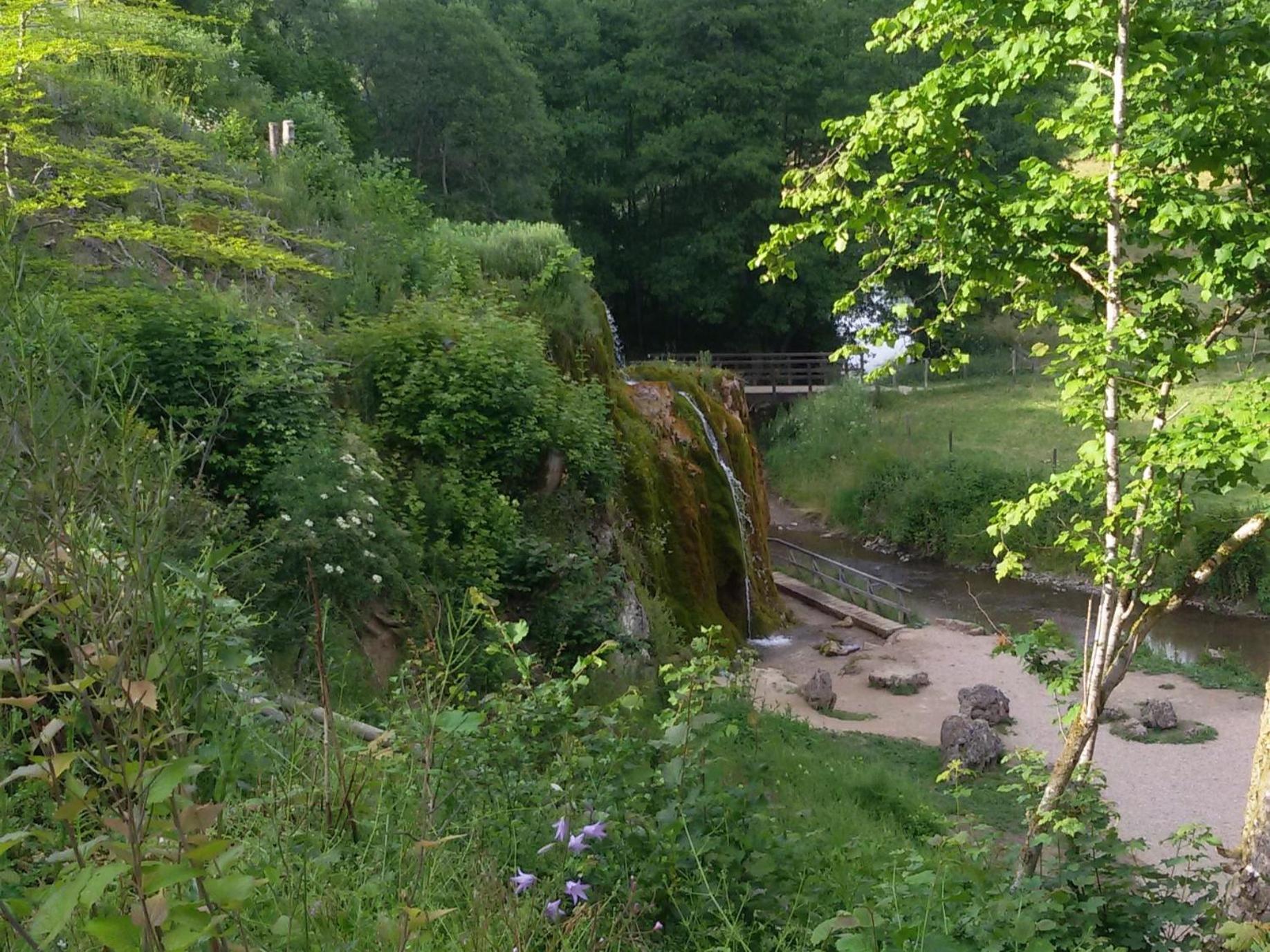 Ferienhof An Der Lay Kerpen  Bagian luar foto