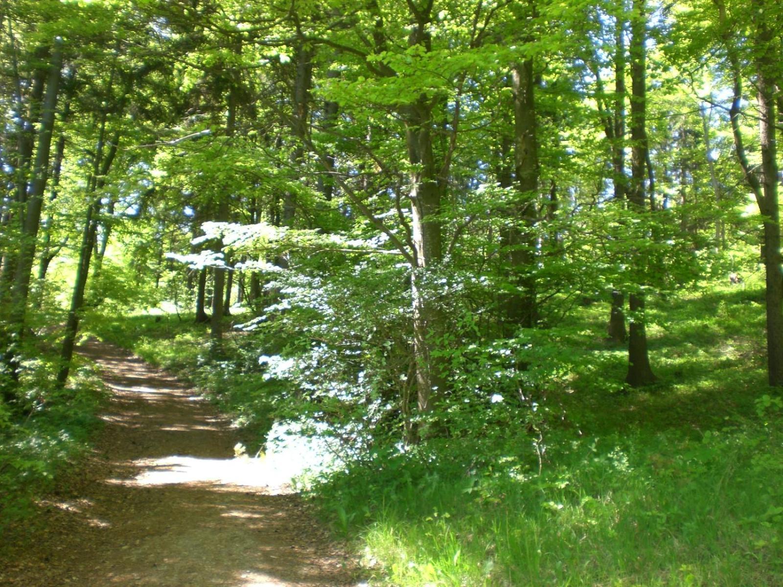 Ferienhof An Der Lay Kerpen  Bagian luar foto