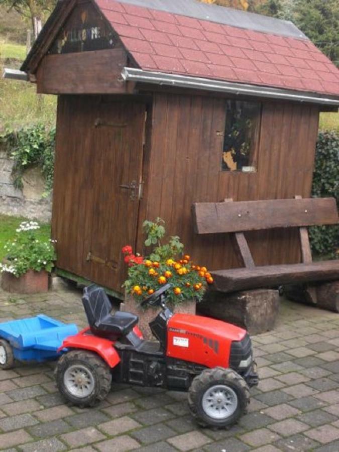 Ferienhof An Der Lay Kerpen  Bagian luar foto